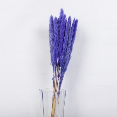 2020 new arrival instagram style Natural pampas grass dried flowers for wedding decor