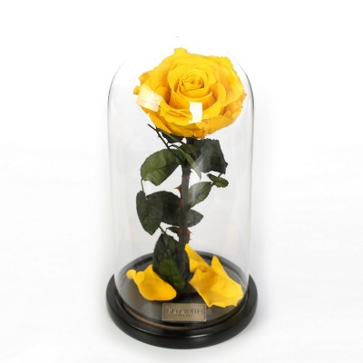 High Level Valentine day Gift Preserved roses flower in glass box for girlfriend