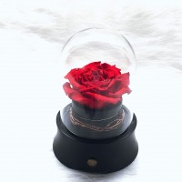 Artificial immortal rose decoration flower preserved real rose flower in glass dome