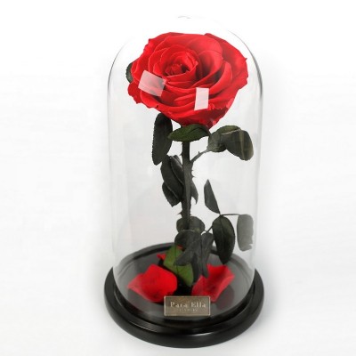 Sweetie Best Quality Grade A Last 5 Yeas ours rose eternelle boite Forever Rose In Glass