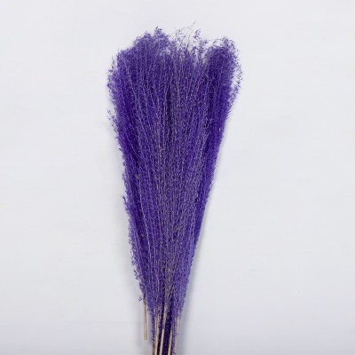 Good quality custom design pampas grass 30cm flower head for sale