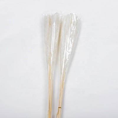 Hot selling feather dried decorative pampas grass for wedding home