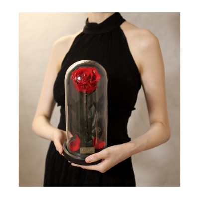 New Design The Beauty And The Beast Rose Wholesale Preserved Eternal Roses In Glass Dome