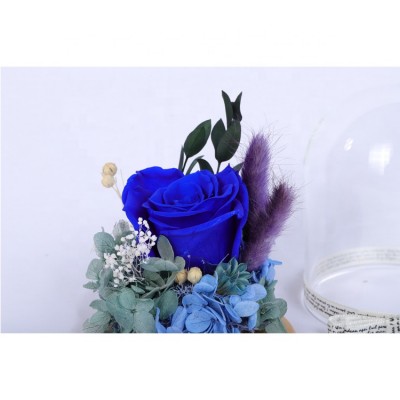 Wholesale preserved flower preserved roses in glass forever rose mfrs