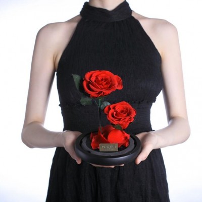 Wholesale Para Ella new design Forever roses preserved flower