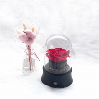 Wholesale Big Size Everlasting Stabilized Natural Preserved Ecuadorian Roses In Glass Dome For Gift