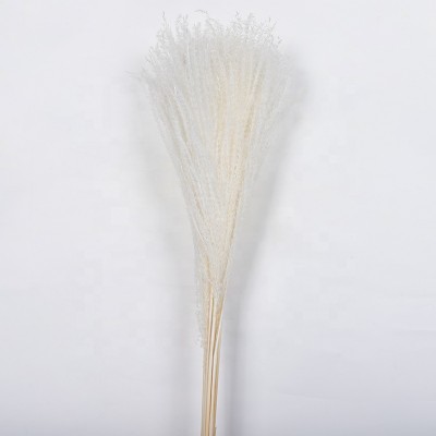 Wedding Decor Pampas Grass Natural Flower Accept Customized