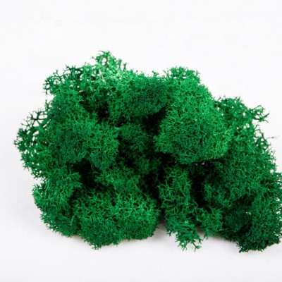 Wholesale moss preserved artificial preserved adhesive moss mat