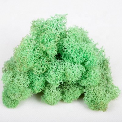 Adhesive moss mat preserved wholesale moss decoration