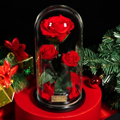 best selling  preserved rose for christmas day long life fresh preserved flower