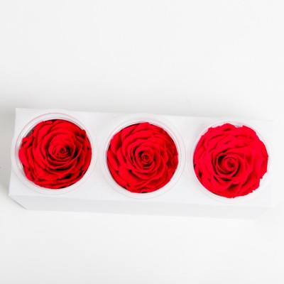 preserved rose head  in red color 7-8cm yunnan grade AA preserved real flower