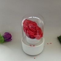 romantic and lovely gift musical glass dome with flower or led light for display as music box glass