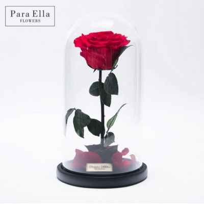 Waimaotong Express Artificial Flower enchanted rose wholesales preserved rose flower