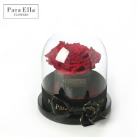 decorative preserved stabilized roses big size 9-10cm  preserved flower rose in glass ball wholesale