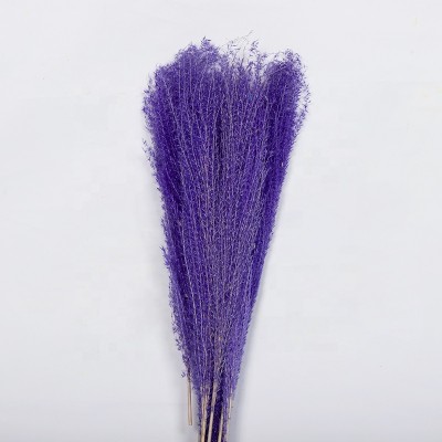 Decorative potted plants Natural small dried reed grass artificial pampas grass