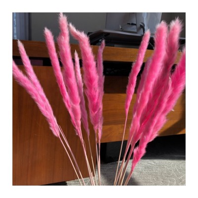 Dried flower bouquet colorful pampas grass as home decorative bouquet