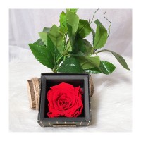 Eternal preserved flower in luxury box everlasting rose for Christmas Valentine's day